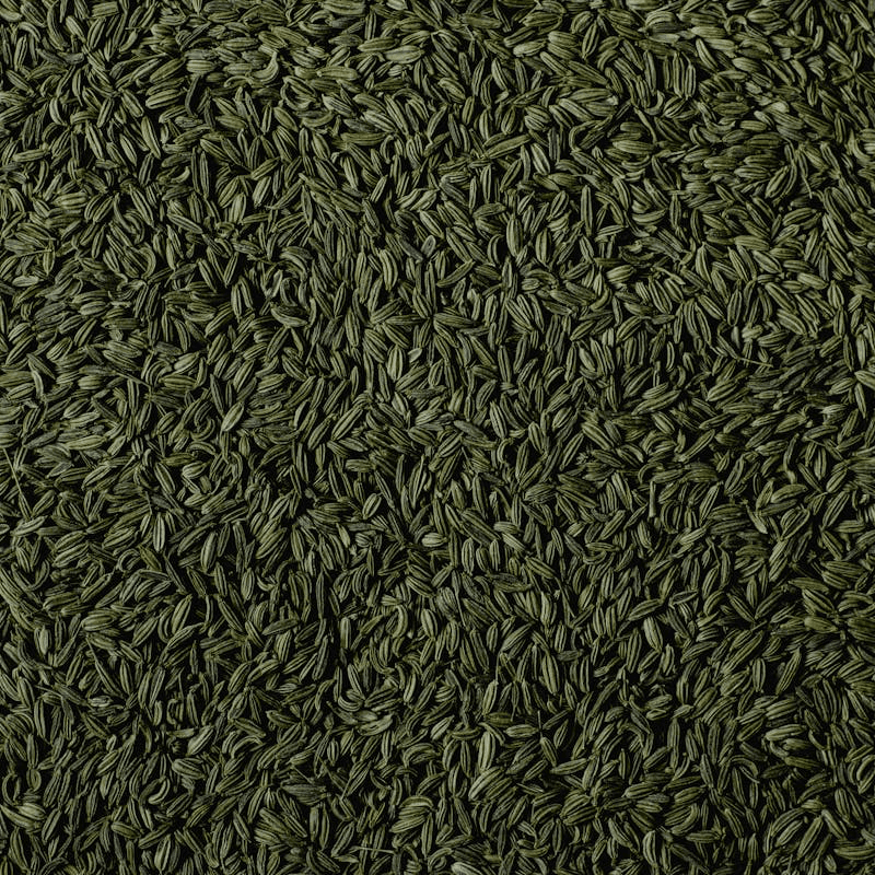 Fennel Seeds