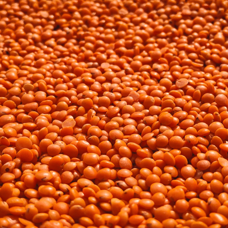 Masoor Dal (Red Lentils)